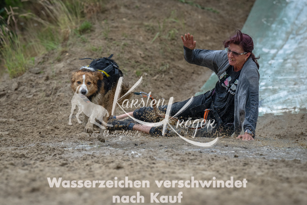 1455_ZZ93236-Bearbeitet | kk-dogfotos