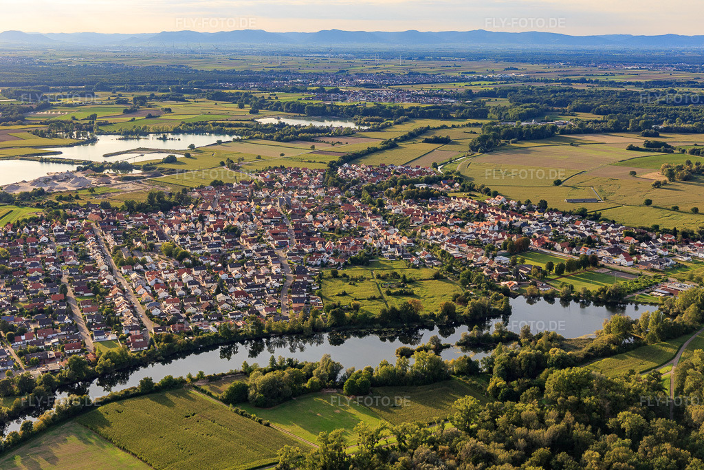 Luftbild: Ortsansicht aus Osten himterm Gewässer Fischmahl am Rheindamm in Leimersheim im Bundesland Rheinland-Pfalz in Deutschland. Foto: IMG_102447.jpg vom 24.08.2017 durch Werner Riehm/FLY-FOTO.de