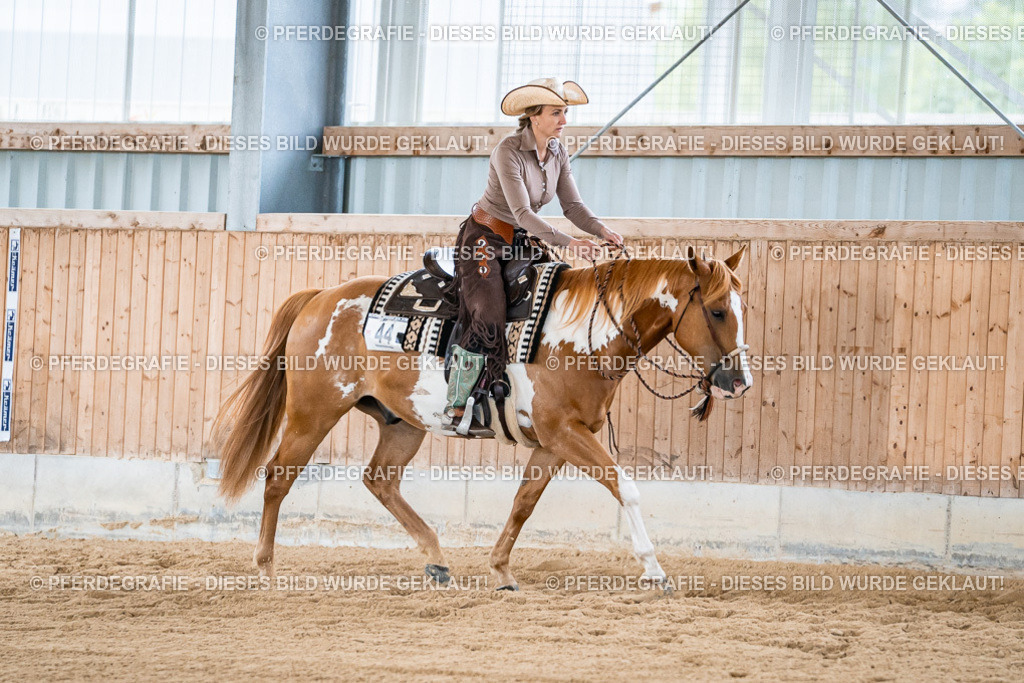 DSC09028 | Pferdegrafie