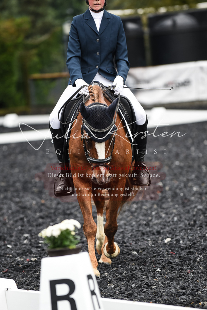 DSC_2852 | Pferde- und Turnierfotografie in Westsachsen. Pferdeportraits, Auftragszeichnungen und intuitive Kunst.