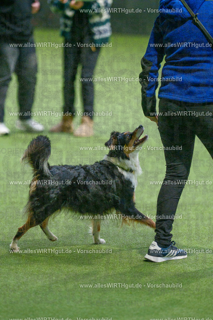 7R508139 | Professionelle Tierfotografie in Mönchengladbach von Daniel Wirth (allesWIRTHgut). Liebevolle & natürliche Bilder von Hunden & Katzen für unvergessliche Erinnerungen.