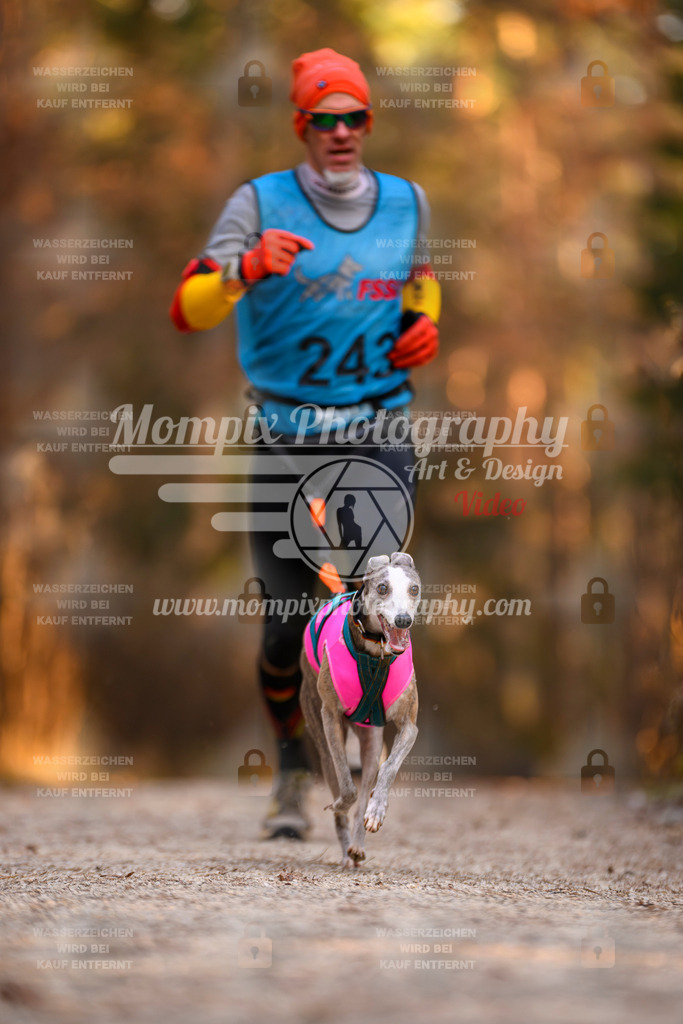 MompixPhotography_DM_AKDM_SO_2025_-79 | PayLife