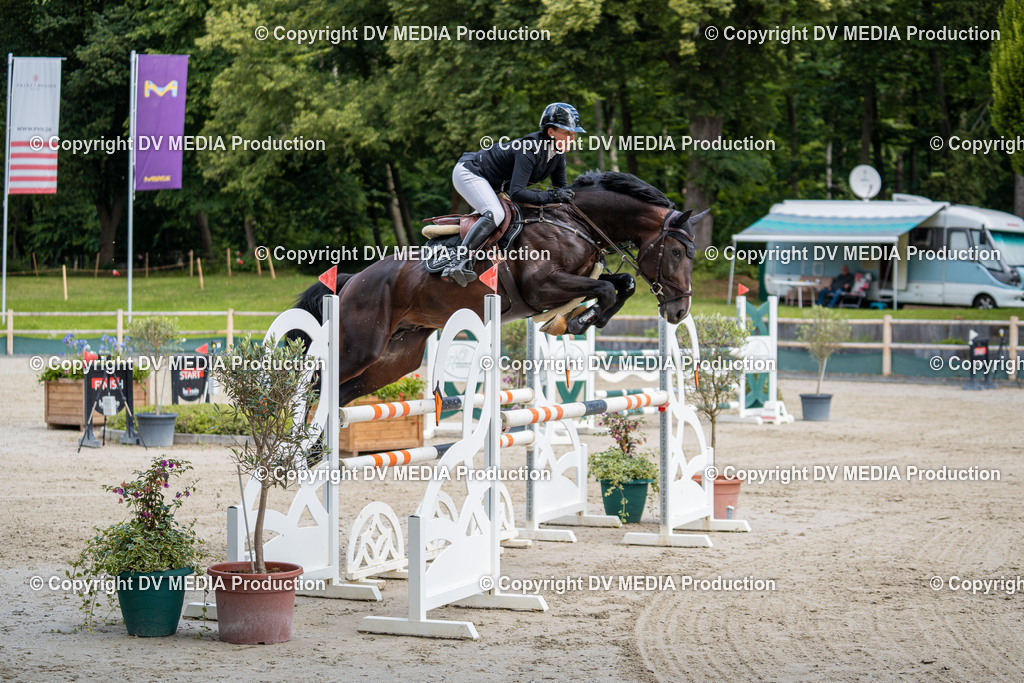 Hessische Tag 1-324 | dv-media-shop - Realisiert mit Pictrs.com