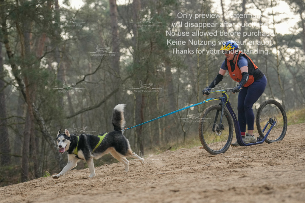 Scooter1-220 | stephaniefillaphotographie - Realisiert mit Pictrs.com