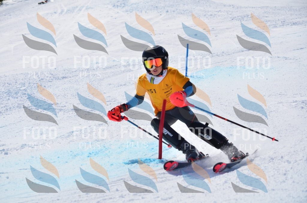 C9792 | holidayphoto