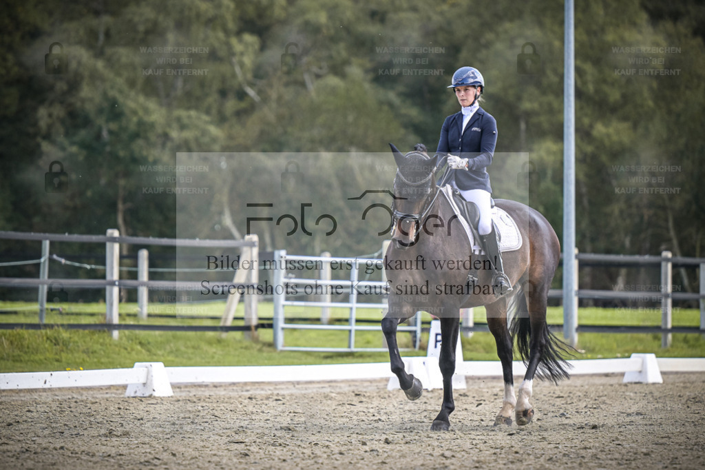 DOS_0047 | Entdecke hochwertige Reitturnierfotos von Foto Oger. Professionell, emotional und authentisch – jetzt Lieblingsmomente im Shop bestellen. - Realisiert mit Pictrs.com