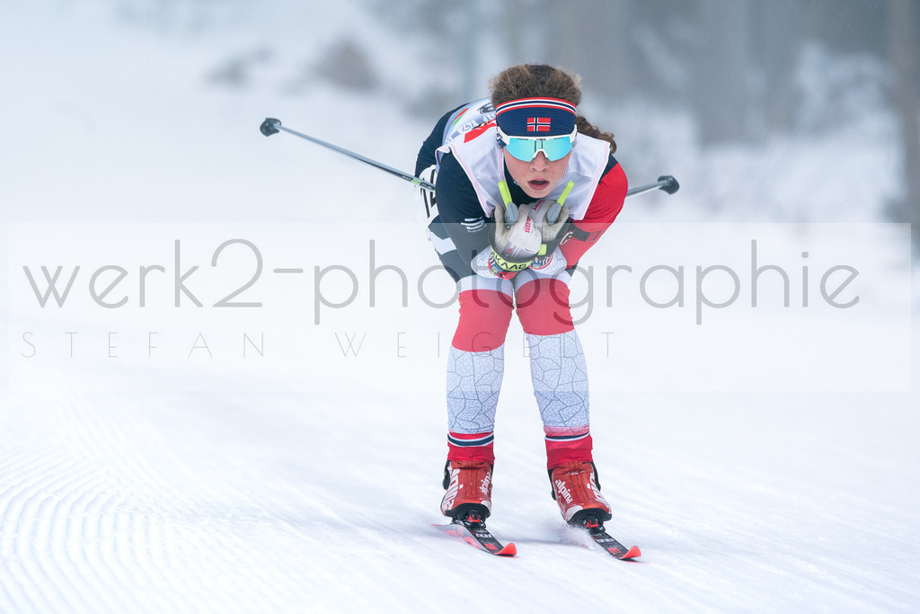 DSC Arber | Bayerischer Wald am 15. und 16. Januar 2022