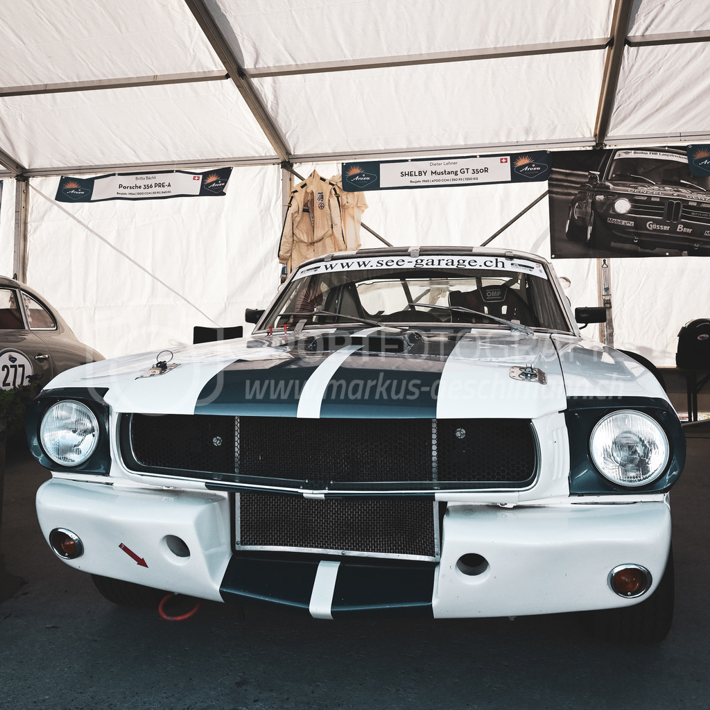 19. Arosa ClassicCar 2023 - 2. September 2023 | 19. Arosa ClassicCar 2023
Arosa, Schweiz
Lehner Dieter aus Kilchberg mit der Startnummer 510 in einem SHELBY Mustang GT 350R, Jahrgang 1965, in der Klasse Competition.
@arosaclassiccar, @arosa.official, #arosaclassiccar, #arosa, #76curves, #classiccar
Bild: Sportfotografie Markus Aeschimann | www.markus-aeschimann.ch - Realisiert mit Pictrs.com