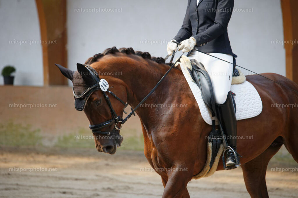 JHE_0907 | JoYa Fotografie - Realisiert mit Pictrs.com