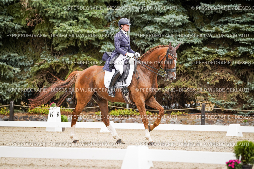 DSC04948 | Pferdegrafie