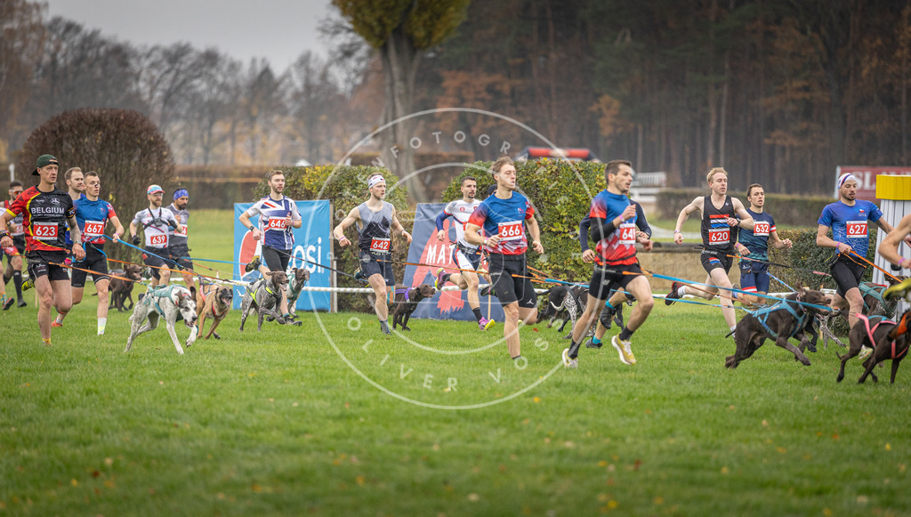 CaniXpix_DV3A9463 | Hundefotografie, Tierfotograf, Pfotenfotografie, Fotoshooting Hund, Hunde Portrait, Hundesport, Hundeportraits, Heideshooting, Hunde, Sportfotograf, Hundefotograf, Turnierhundsport, THS,  - Realisiert mit Pictrs.com