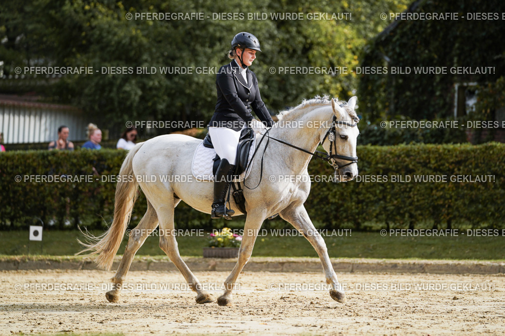 DSC04240 | Pferdegrafie