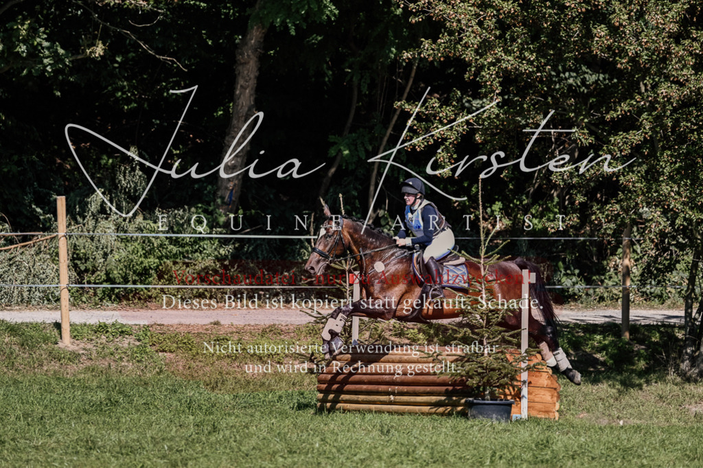 DSC_1831 | Pferde- und Turnierfotografie in Westsachsen. Pferdeportraits, Auftragszeichnungen und intuitive Kunst.