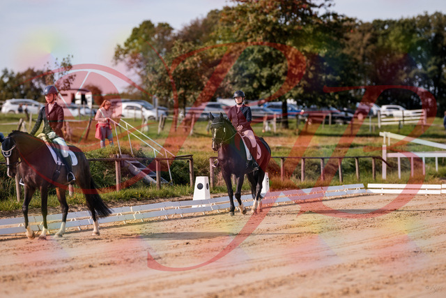 2026_10_03_Siefer-Hof_113234_Z81_78790021 | Professionelle Reitsport-, Turnier- und Eventfotografie von Robert Broda. Galerien mit ausgewählten und bearbeiteten Bildern direkt online ansehen und bestellen.