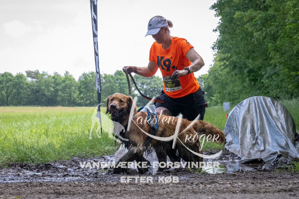 1145_ZZ94420-Bearbeitet | kk-dogfotos