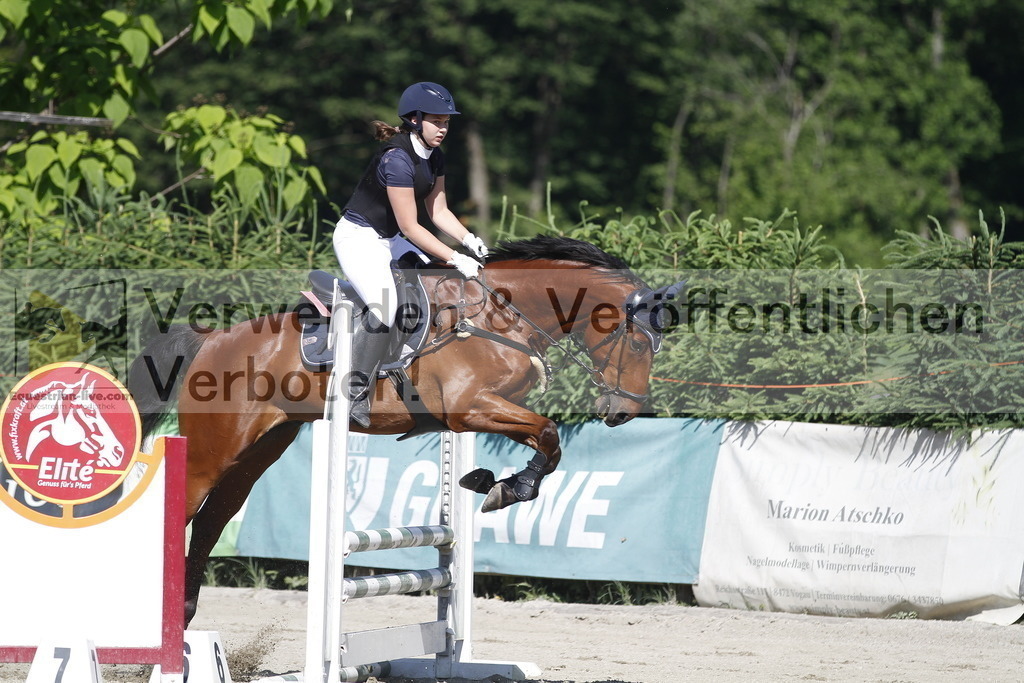 _MG_2546 | equestrian-live-com