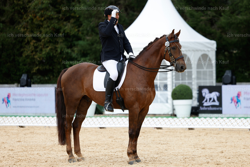 3-239-Dressur M_-StoibPH-2430 | working equitationturnier fotograf videograf stoibphotography marixx film working equitation deutschland reitsport turnierfotografie eventfotografie equestrian events