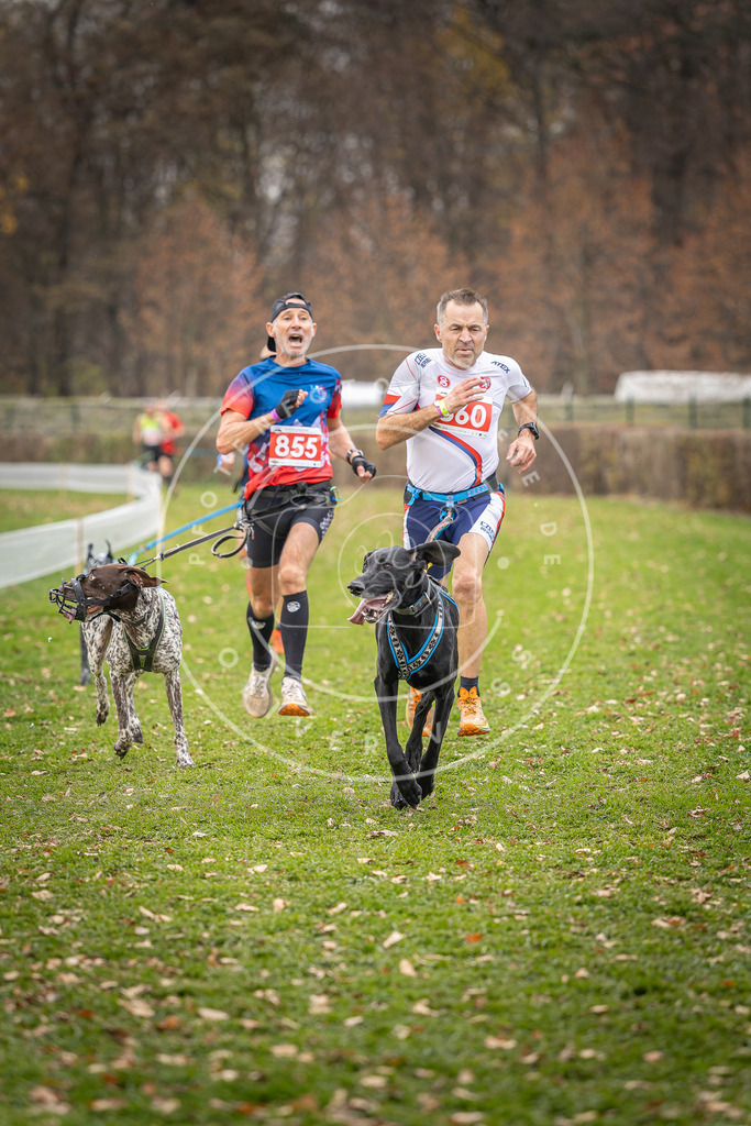 CaniXpix_DV3A6625 | Hundefotografie, Tierfotograf, Pfotenfotografie, Fotoshooting Hund, Hunde Portrait, Hundesport, Hundeportraits, Heideshooting, Hunde, Sportfotograf, Hundefotograf, Turnierhundsport, THS,  - Realisiert mit Pictrs.com