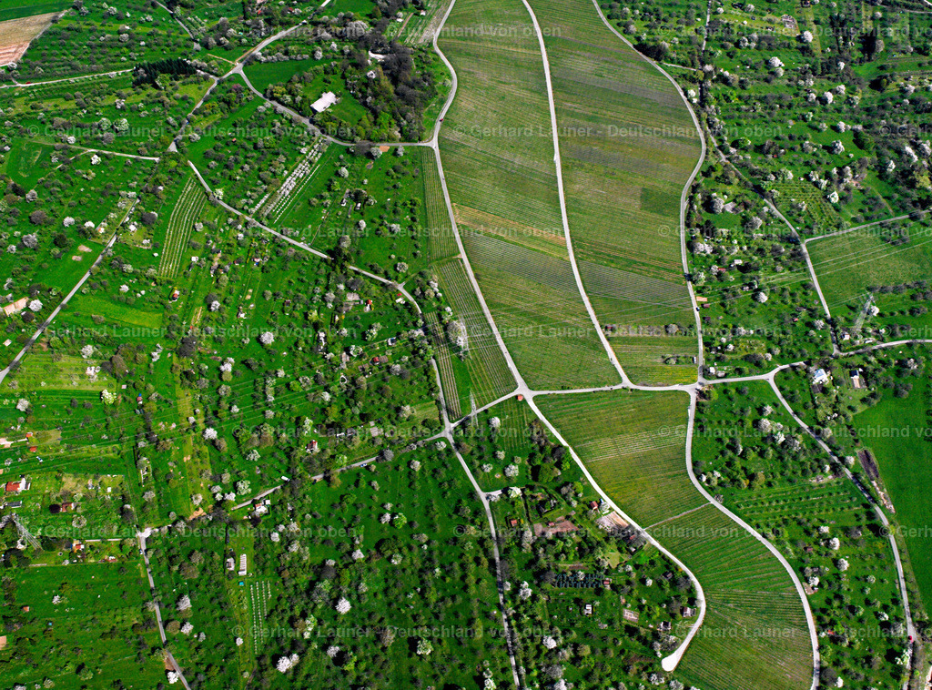 2506095 | Weinberge bei Waiblingen, Sörenberg