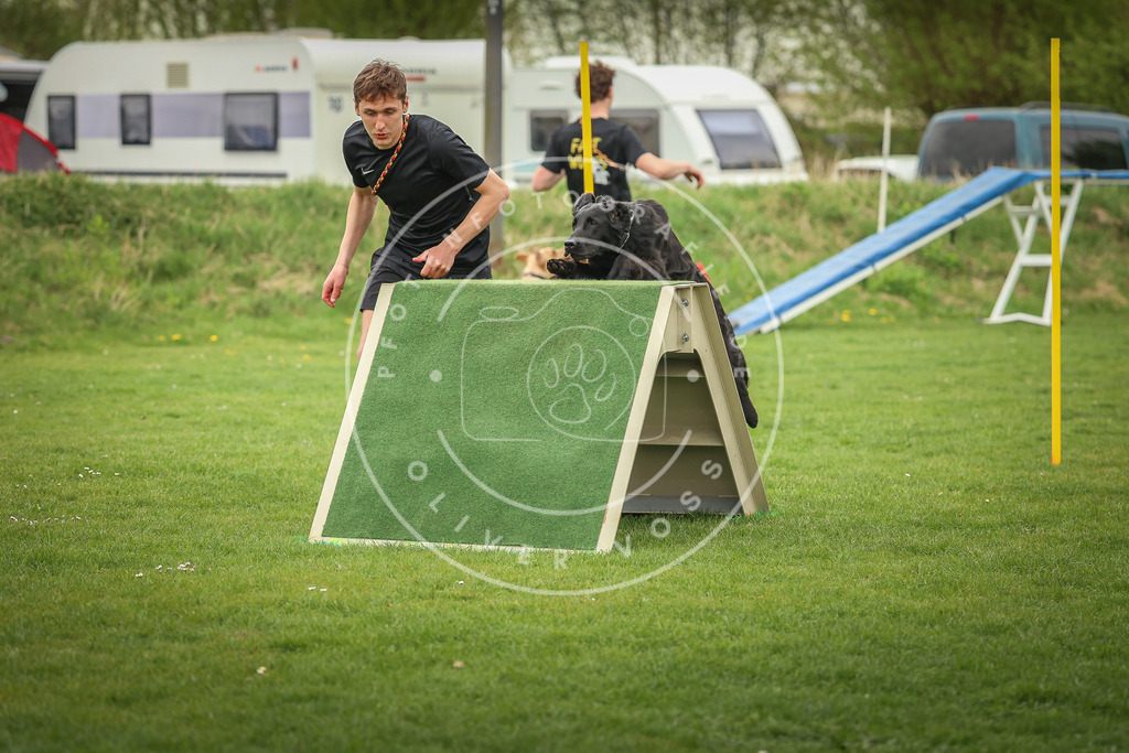 Pfotenfotografie_0L8A0468 | Hundefotografie, Tierfotograf, Pfotenfotografie, Fotoshooting Hund, Hunde Portrait, Hundesport, Hundeportraits, Heideshooting, Hunde, Sportfotograf, Hundefotograf, Turnierhundsport, THS,  - Realisiert mit Pictrs.com