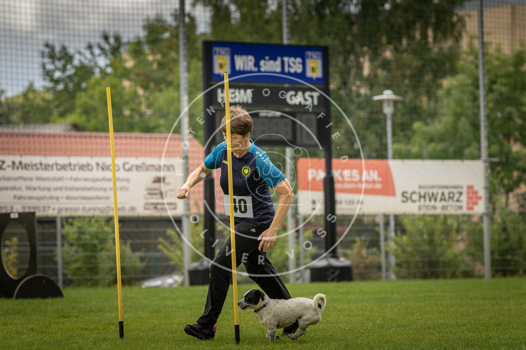 Pfotenfotografie_DV3A2878 | Hundefotografie, Tierfotograf, Pfotenfotografie, Fotoshooting Hund, Hunde Portrait, Hundesport, Hundeportraits, Heideshooting, Hunde, Sportfotograf, Hundefotograf, Turnierhundsport, THS,  - Realisiert mit Pictrs.com