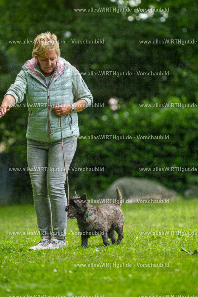 @allesWIRTHgut_Tierfotografie - www.allesWIRTHgut.de - 130034-7R509669 | Professionelle Tierfotografie in Mönchengladbach von Daniel Wirth (allesWIRTHgut). Liebevolle & natürliche Bilder von Hunden & Katzen für unvergessliche Erinnerungen.