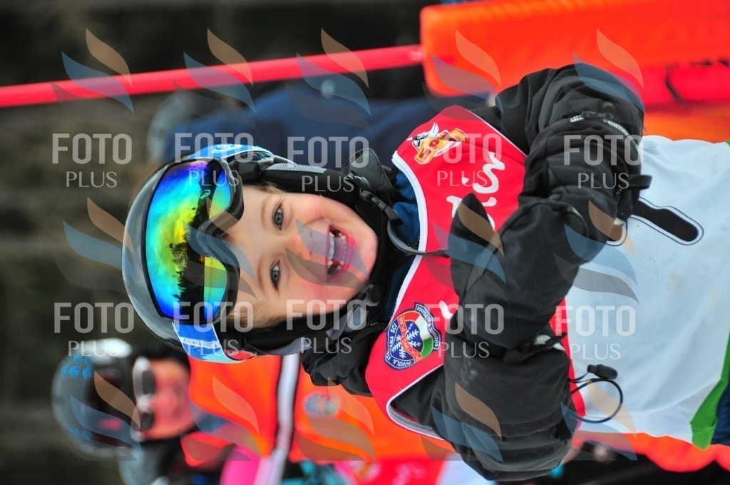 C1141 | holidayphoto