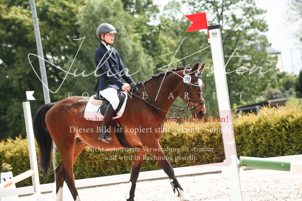 20230518_JK-Röhrsdorf-10-098 | Pferde- und Turnierfotografie in Westsachsen. Pferdeportraits, Auftragszeichnungen und intuitive Kunst.