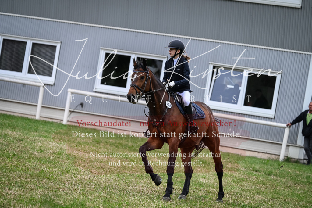 DSC_8458 | Pferde- und Turnierfotografie in Westsachsen. Pferdeportraits, Auftragszeichnungen und intuitive Kunst.