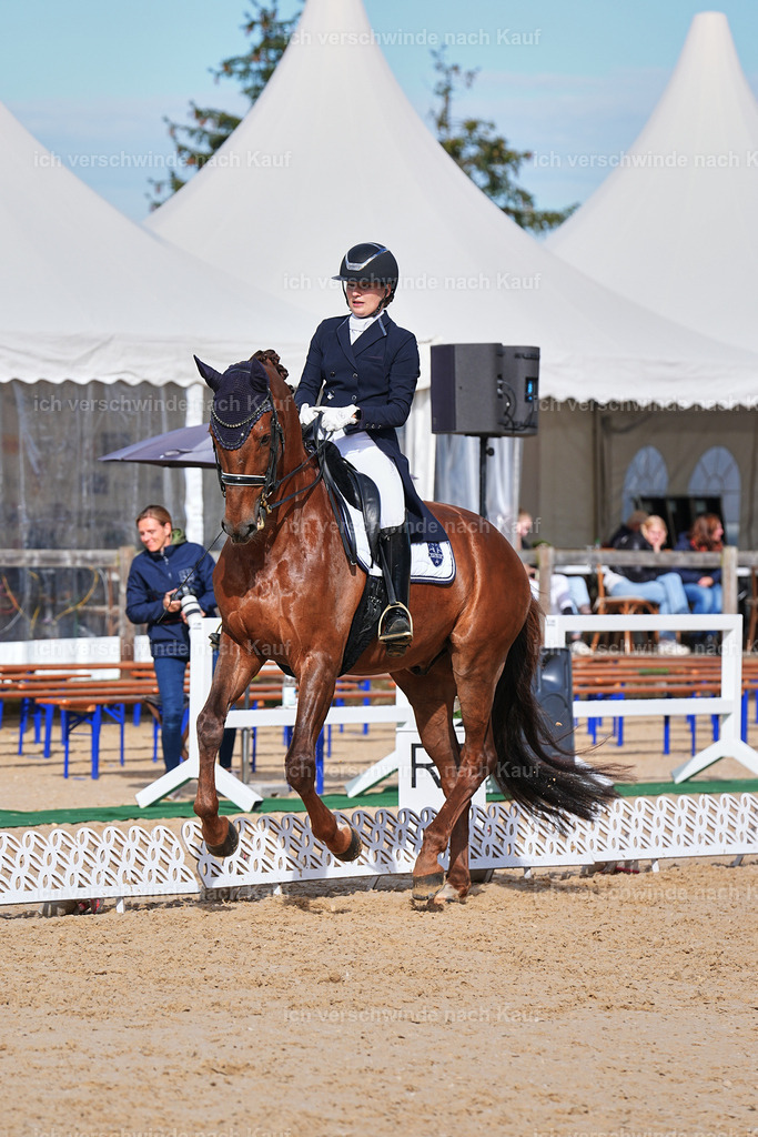6-143-AMATUER-DRESSUR S_  -Marixx-3687 | working equitationturnier fotograf videograf stoibphotography marixx film working equitation deutschland reitsport turnierfotografie eventfotografie equestrian events