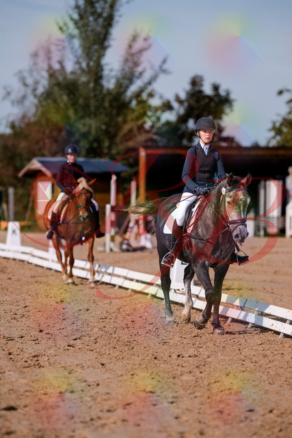 2026_10_03_Siefer-Hof_120106_Z81_03602501 | Professionelle Reitsport-, Turnier- und Eventfotografie von Robert Broda. Galerien mit ausgewählten und bearbeiteten Bildern direkt online ansehen und bestellen.