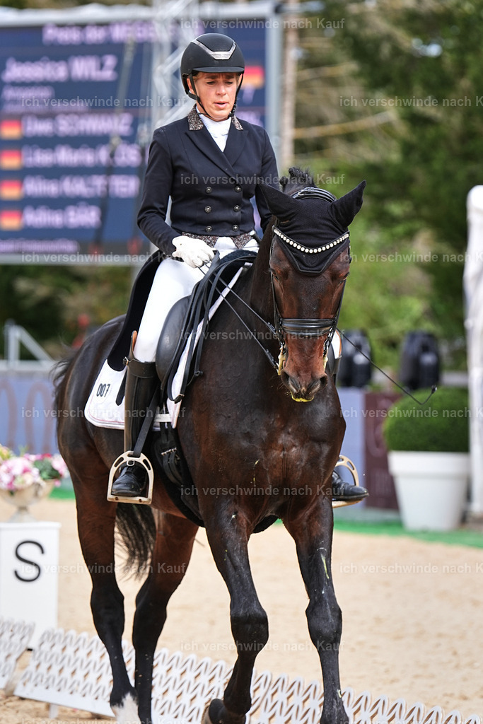 11-007-Dressur S___-Marixx-1699 | working equitationturnier fotograf videograf stoibphotography marixx film working equitation deutschland reitsport turnierfotografie eventfotografie equestrian events