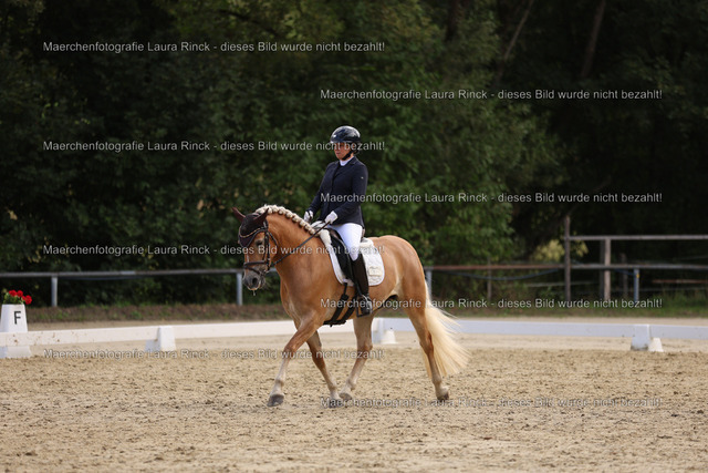 HG9A1449 | laurarinckfotografie - Realisiert mit Pictrs.com