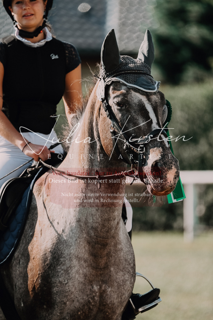 DSC_4936 | Pferde- und Turnierfotografie in Westsachsen. Pferdeportraits, Auftragszeichnungen und intuitive Kunst.