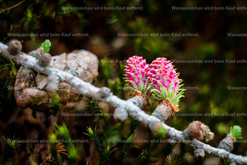 Seelenpartner | Im großen Universum hast du deinen Seelenpartner gefunden. Im großen Universum sendest du den Ruf nach deinem Seelenpartner aus. Und er ist da. Fühle dich rein. Fühle wie Eure Herzen gleich schlagen. Fühle, wie ihr damit Wunder ins Leben zieht. Diese Energien helfen dir dich für deinen Seelenpartner zu öffnen. Und in Beziehungsfragen, Beziehungsproblemen, strömt diese Energie Frieden aus.