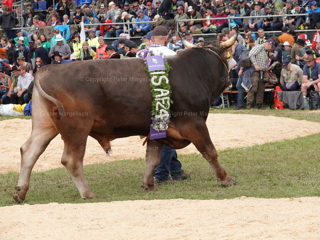 DSC08139 | Schwingen - Realisiert mit Pictrs.com