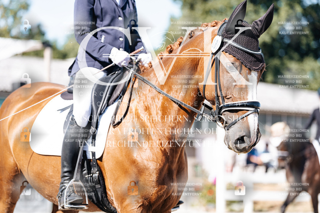 CK908423 | Turnierfotografie Pferdefotografie Trier Rheinland-Pfalz Pferdesport Reitsport Tierfotografie Sportfotografie Pferdevideo Pferdevideografie Equestrianvideography equestrianphotography  - Realisiert mit Pictrs.com