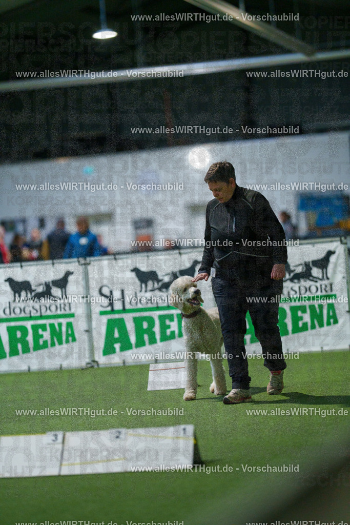 7R509873 | Professionelle Tierfotografie in Mönchengladbach von Daniel Wirth (allesWIRTHgut). Liebevolle & natürliche Bilder von Hunden & Katzen für unvergessliche Erinnerungen.