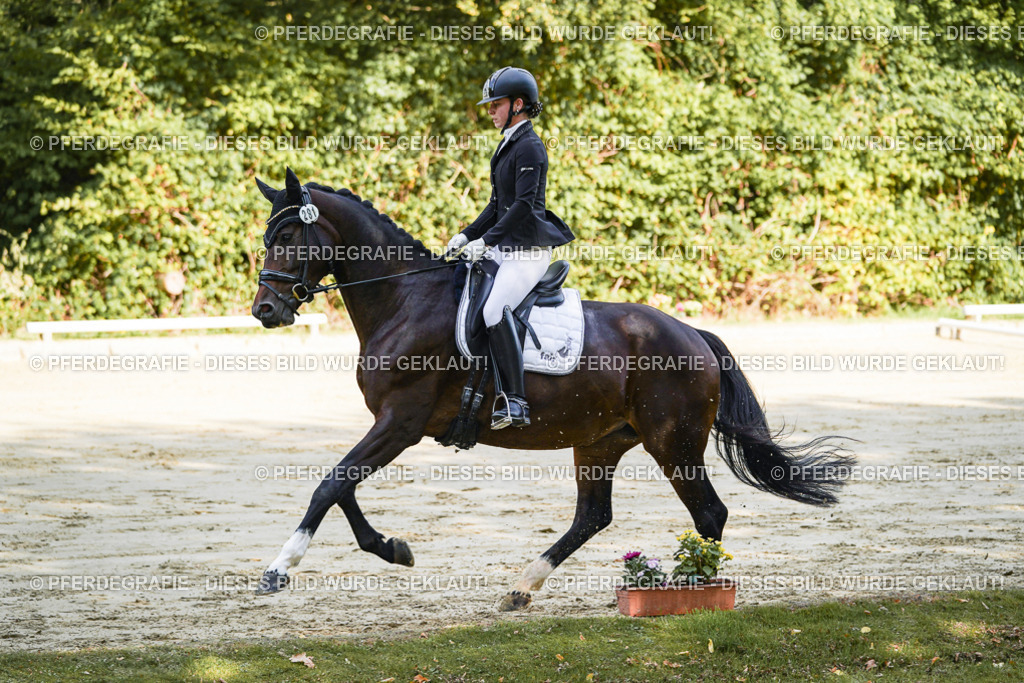 DSC08016 | Pferdegrafie