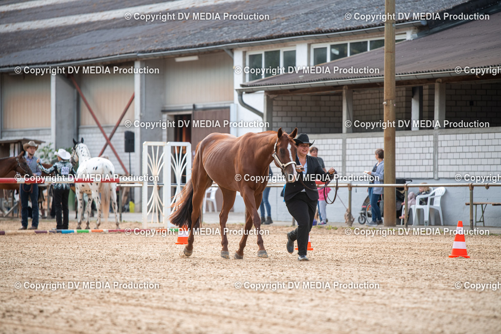 EWP_5507 | dv-media-shop - Realisiert mit Pictrs.com