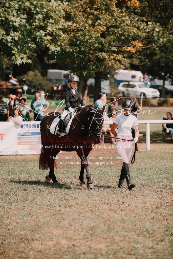 DSC_6155 | Pferde- und Turnierfotografie in Westsachsen. Pferdeportraits, Auftragszeichnungen und intuitive Kunst.