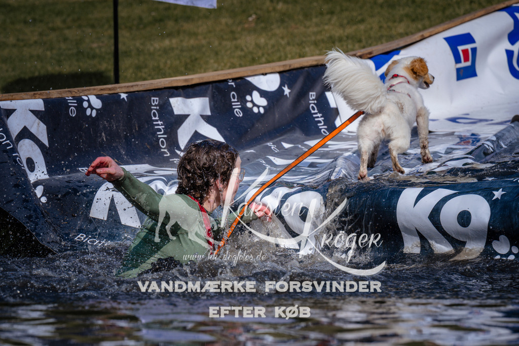 _ZZ995080834 | kk-dogfotos