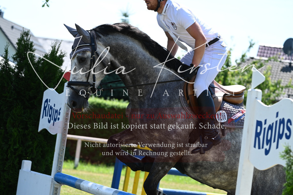 DSC_0555 | Pferde- und Turnierfotografie in Westsachsen. Pferdeportraits, Auftragszeichnungen und intuitive Kunst.