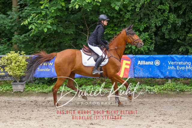 DKP45062 | Turniersportfotografie; Pferdefotografie; Dressurfotografie