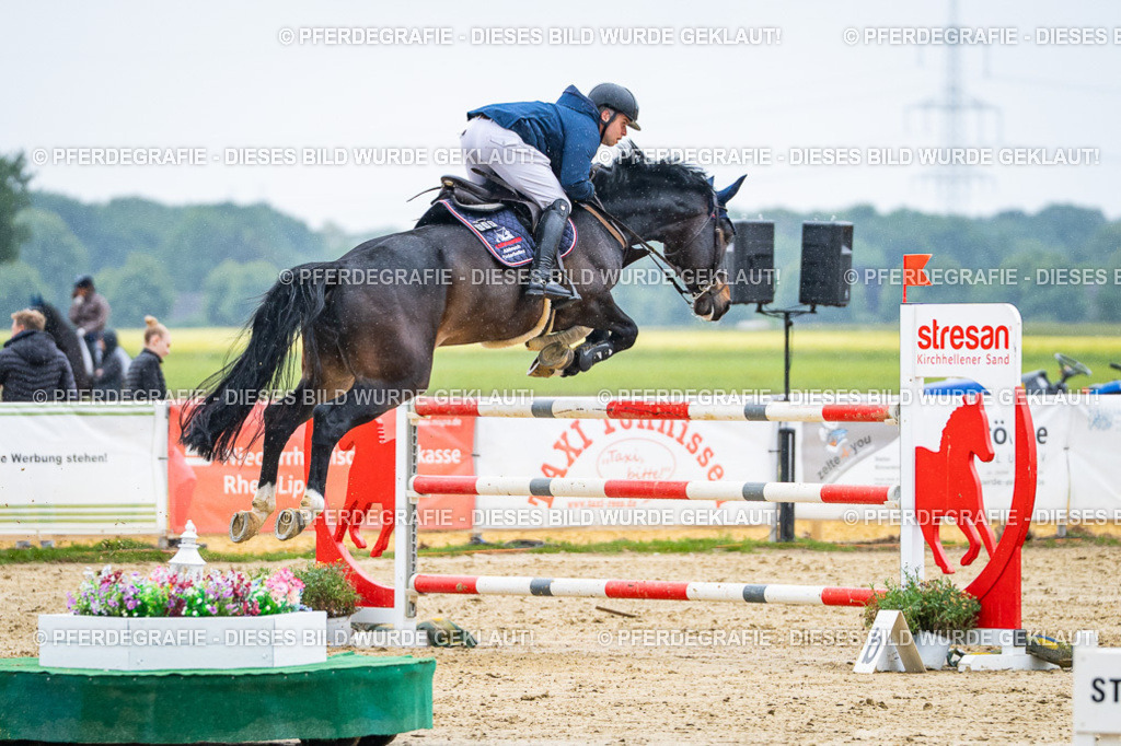 DSC09532 | Pferdegrafie