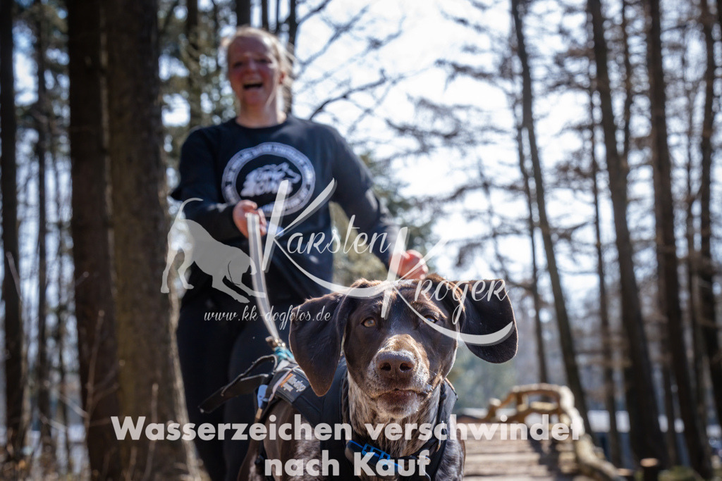 1323_ZZ95011 | kk-dogfotos