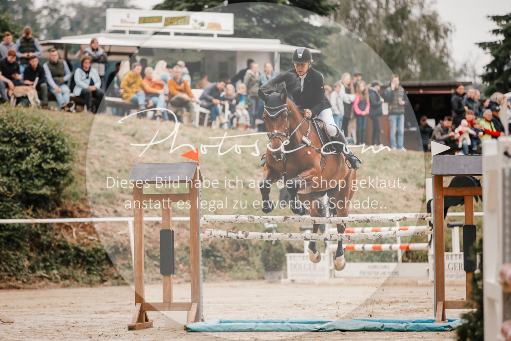 3I6A1945 | Stimmungsvolle Portraits und Reitsportfotografie im Ruhrgebiet und im Münsterland.

Pferdefotografie, Hundefotografie, Tierfotografie, Reportagen, Portraits von Tier und Mensch, Turnierfotografie in Bochum, Recklinghausen, Marl, Haltern am See, Dülmen.. - Realisiert mit Pictrs.com