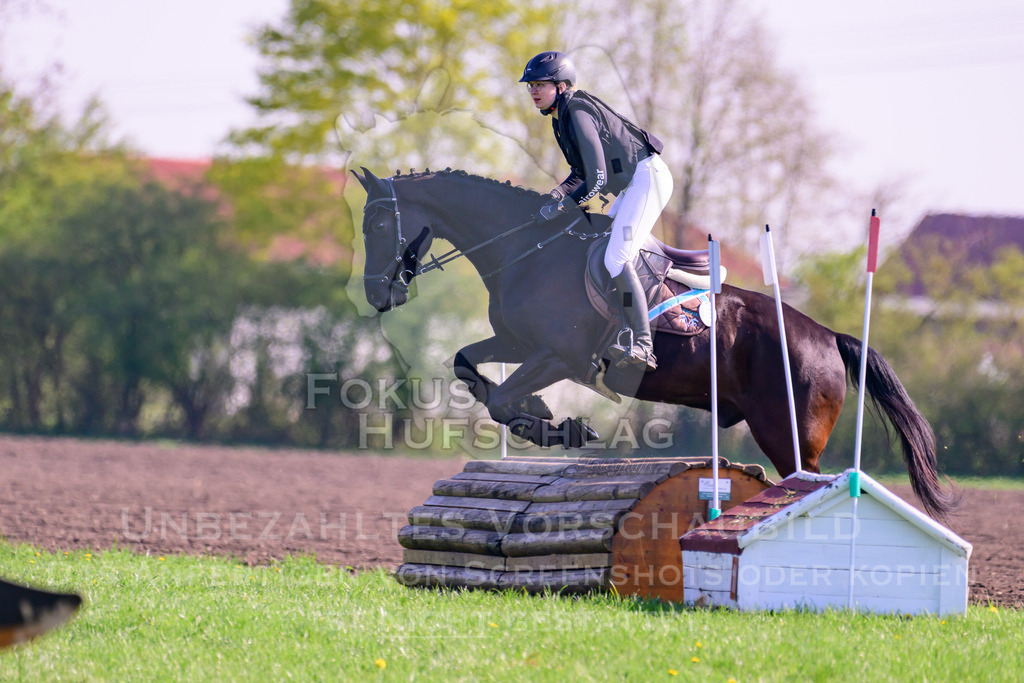 18042026-Gernlinden-03-0174 | Fokus Hufschlag Fotografie - Realisiert mit Pictrs.com