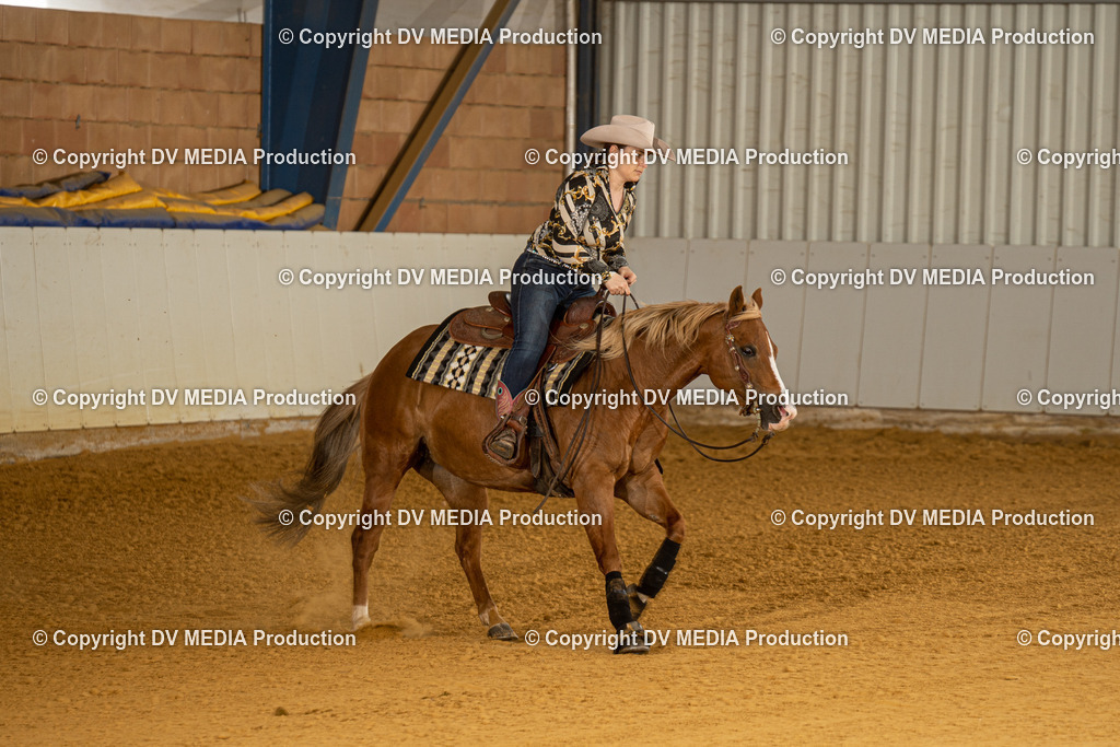 MIT00136 | dv-media-shop - Realisiert mit Pictrs.com