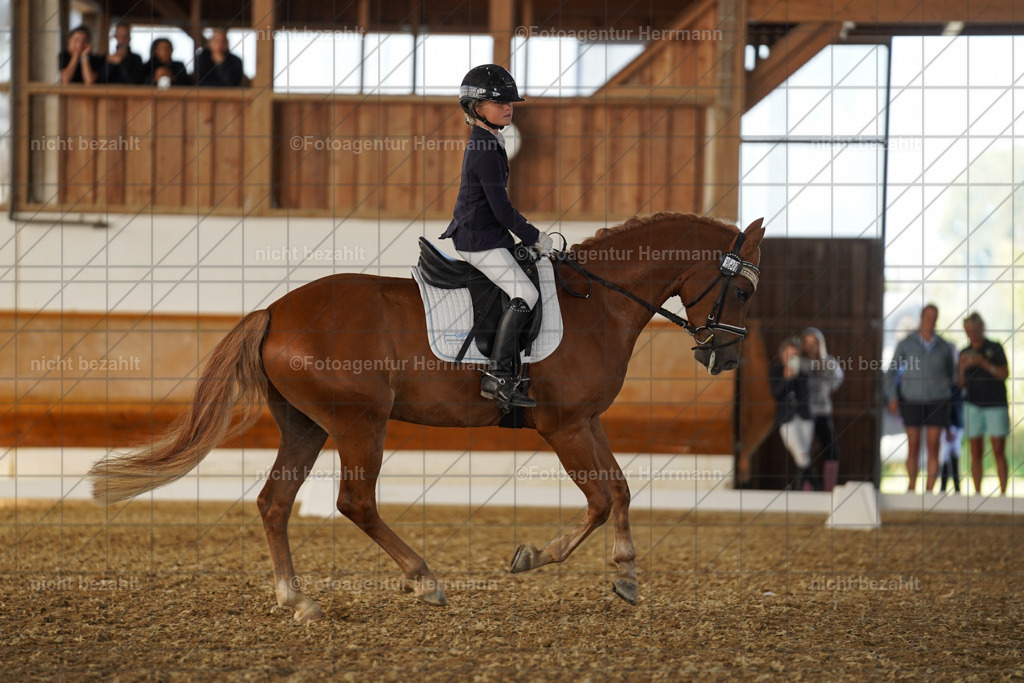 20240824-FAH07164 | Thierhaupten 2024, Bayerisches Landesponyturnier, Turnierbilder, Ponybilder, Turnierfotografen Bayern, Fotoagentur Herrmann